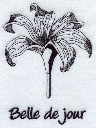 Daylily - Belle de jour
