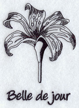 Daylily - Belle de jour