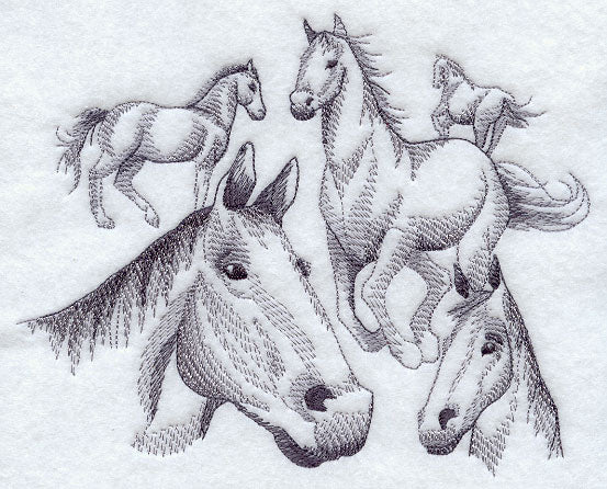 Herd of Horse Sketches