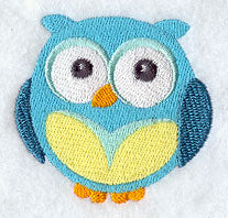 Wide-Eyed Baby Boy Owl