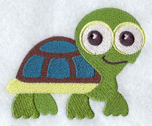 Wide-Eyed Baby Boy Turtle