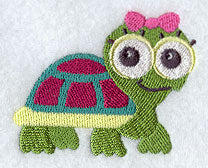 Wide-Eyed Baby Girl Turtle