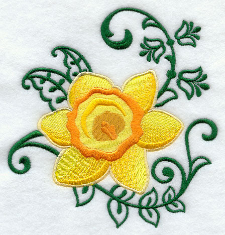 Daffodil and Flower Echo