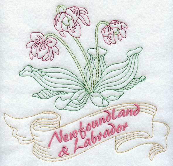 Newfoundland and Labrador - Pitcher Plant (Redwork)