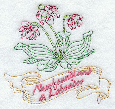 Newfoundland and Labrador - Pitcher Plant (Redwork)