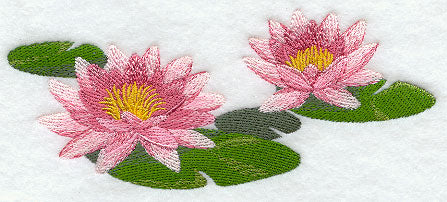 Water Lily Border