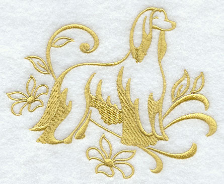 Graceful Afghan Hound