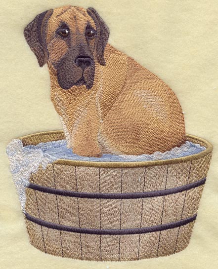 Great Dane in Bathtub