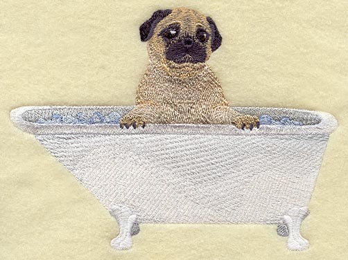 Pug in Bathtub