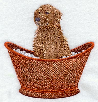 Golden Retriever in Bathtub