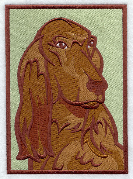 Irish Setter