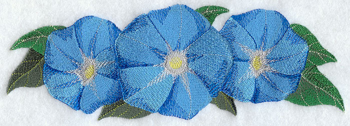 Morning Glory Border