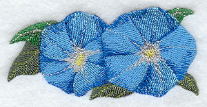 Morning Glory Border