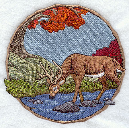 Walk in the Woods - Deer