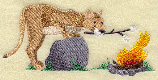 S'More Fun for Mountain Lion