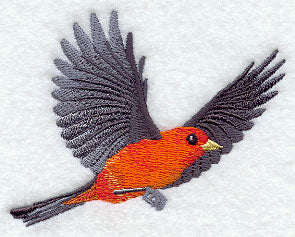 Flying Scarlet Tanager