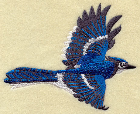Flying Bluejay