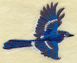 Flying Bluejay