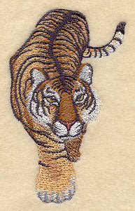 Asian Tiger