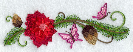 Feliz Flutterby Dahlia and Pine Border