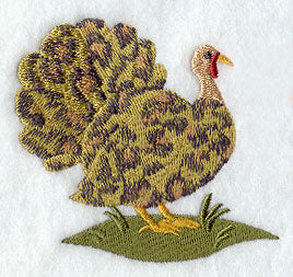 Wild Turkey - Leopard