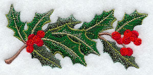Burst of Holly Border