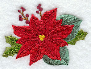 Poinsettia and Holly