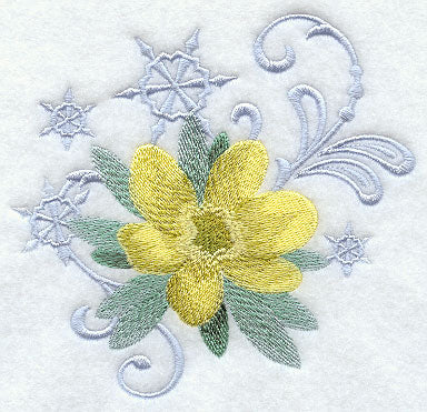 Winter Aconite and Snowflake Echo