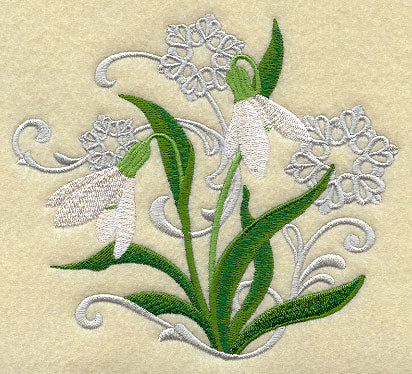 Snowdrop and Snowflake Echo