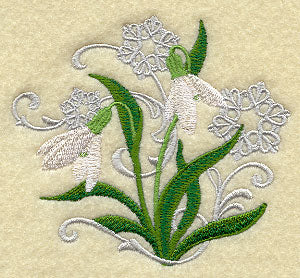 Snowdrop and Snowflake Echo