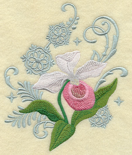 Lady's Slipper and Snowflake Echo