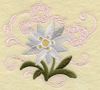 Edelweiss and Snowflake Echo