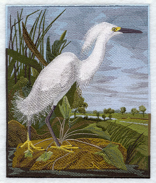 Snowy Heron