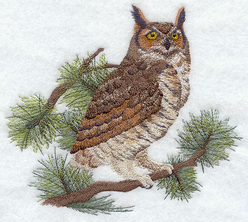 Great Horned Owl in Pine