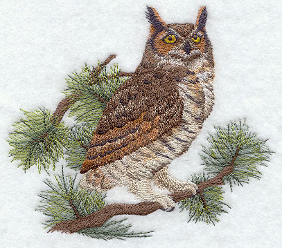 Great Horned Owl in Pine