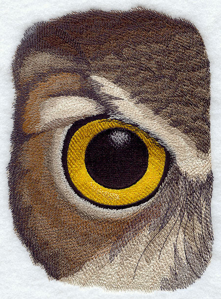 Eye of the Owl