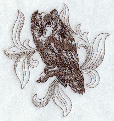 Screech Owl with Baroque Background