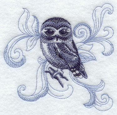 Saw-whet Owl with Baroque Background