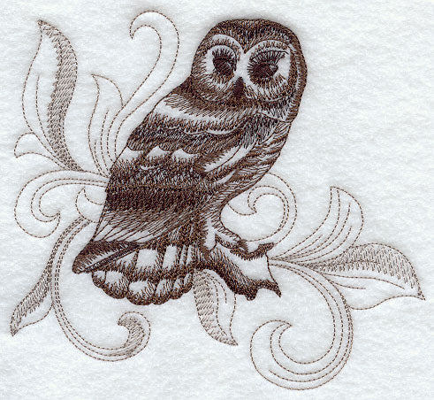Great Barred Owl with Baroque Background