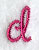 Fancy Flourish Lower Case d - 4 Inch