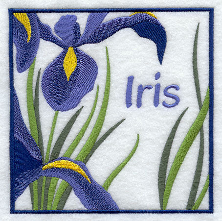 Iris Floral Square
