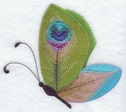 Peacock Butterfly