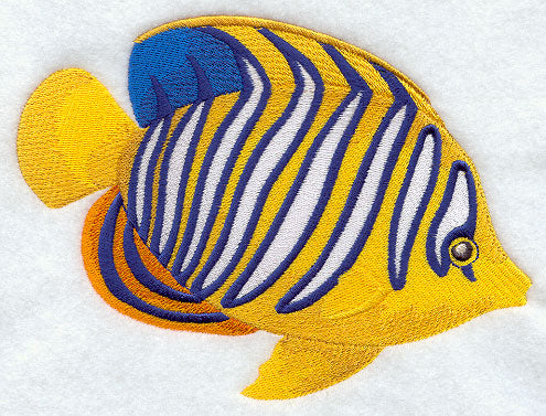 Angelfish