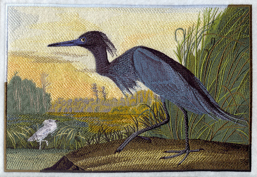 Little Blue Heron