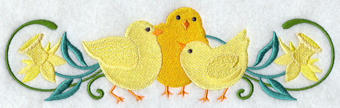 Chick and Daffodil Border