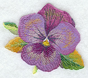 Pansy in Watercolor