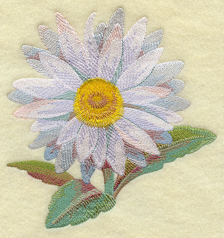 Daisy in Watercolor