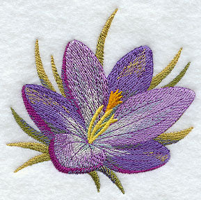 Crocus in Watercolor