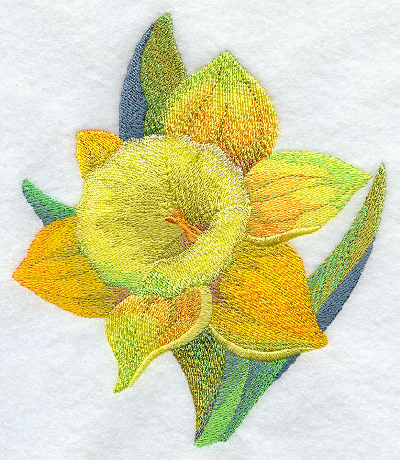 Daffodil in Watercolor