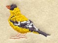 Bird - Goldfinch